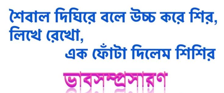 শৈবাল দিঘিরে বলে উচ্চ করে শির, লিখে রেখো, এক ফোঁটা দিলেম শিশির