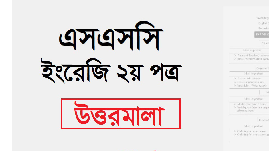 এসএসসি ইংরেজি ২য় পত্র প্রশ্ন সমাধান ২০২৪ PDF সব বোর্ড 