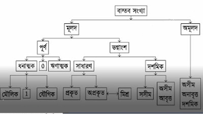 সংখ্যার ধারনা